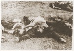 The bodies of Jews removed from the Iasi death train during a stop on the journey, lie beside the tracks.