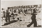 Jewish passengers on the Iasi death train rest in a field beside the tracks during a stop on the journey.