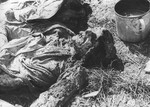 The corpse of a Jew exhumed from a mass grave.  The victim weas presumably killed in the Maros Street or Varosmajor Street hospital massacres.