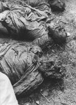 Corpses of Jews exhumed from a mass grave.  The victims were presumably killed in the Maros Street or Varosmajor Street hospital massacres.