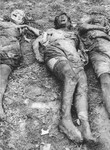 Corpses of Jews exhumed from a mass grave.  The victims were presumably killed in the Maros Street or Varosmajor Street hospital massacres.