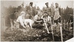 Jews from Wisnicz Nowy plant trees in Kopaliny supervised by a Polish soldier.