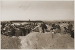 German civilians dig graves for the bodies of concentration camp prisoners killed by the SS in a barn just outside of Gardelegen.