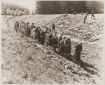 Under the supervision of American soldiers, German civilians from Nammering walk among the corpses of prisoners exhumed from a mass grave near the town.