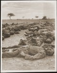 The corpses of prisoners killed by the SS in a barn just outside of Gardelegen are prepared for burial.