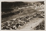 The corpses of prisoners exhumed from a mass grave line the sides of a ravine near the town of Nammering.