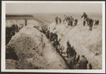 German civilians dig graves for bodies of concentration camp prisoners killed by the SS in a barn just outside of Gardelegen.