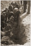 German civilians exhume a mass grave containing the bodies of concentration camp prisoners killed by the SS in a barn just outside of Gardelegen.