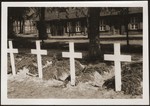 Graves dug by the people of Ludwigslust on the palace grounds of the Archduke of Mecklenburg, where they have been forced by U.S.