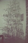 A Christmas tree in the Lodz ghetto.