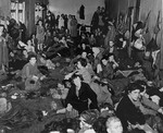 Female survivors in the "Gypsy barracks" after liberation.