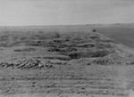 View of corpses exhumed from mass graves in Ploemnitz ("Leau" after 10 October 1944), a sub-camp of Buchenwald.