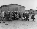 Evacuating female political prisoners from Bergen-Belsen.