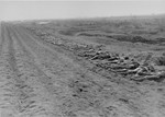 Corpses exhumed from a mass grave in Ploemnitz ("Leau" after 10 October 1944), a sub-camp of Buchenwald.
