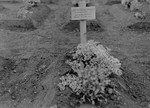 View of a grave marker in Ploemnitz ("Leau" after 10 October 1944), a sub-camp of Buchenwald.