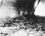 Corpses of prisoners lie near the inside south wall of the barn outside of Gardelegen where over 1,000 prisoners were burned alive.