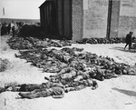 Corpses lined up on the north side of the barn located outside of Gardelegen.