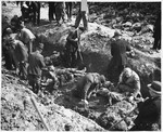 German civilians exhume a mass grave containing the bodies of concentration camp prisoners killed by the SS in a barn just outside Gardelegen.