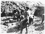 German prisoners of war from a nearby internment camp are forced to exhume bodies from a mass grave found near the town of Nammering.