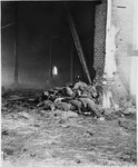 A pile of corpses near the northwest door of the barn outside of Gardelegen where over 1,000 prisoners were burned alive.