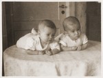 Twin Jewish DP infants lie on a table in the Bergen-Belsen displaced persons camp.