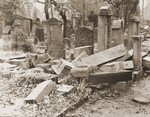 View of the desecrated Jewish cemetery in Frankfurt-am-Main.