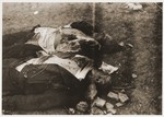 The corpses of two German guards killed by inmates during the liberation of Ohrdruf.