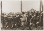 Soviet POWs hand out bread in the camp at Vinnitsa.