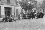 A group of Polish men drag the carcass of a horse through the streets of Warsaw during the siege of the capital.