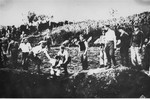 Ustasa militia execute prisoners near the Jasenovac concentration camp.