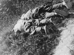 The bodies of two Czech brothers who were shot in the Wiener Graben quarry at Mauthausen.