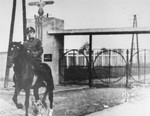 SS Untersturmfuehrer Gustav Wilhaus rides a horse out the main gate of the Janowska concentration camp.