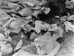 The bodies of female prisoners exhumed from a mass grave near the Helmbrechts concentration camp, a sub-camp of Flossenbuerg.