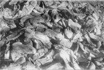 Piles of prisoners' shoes found the Janowska concentration camp by the Red Army.