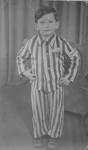 Portrait of Joseph Schleifstein wearing his concentration camp uniform a year or two after his liberation.