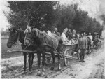 A group of Jews from Turobin travel by horse-drawn wagon to a wedding in a neighboring town.