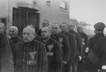 Sachsenhausen prisoners, wearing uniforms with triangular badges, stand in columns under the supervision of a camp guard.