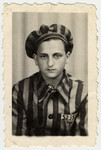 Studio portrait of Buchenwald survivor Zelig Ellenbogen wearing a prisoner uniform.