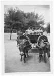 David and Nando Tagliacozzo go for a horse and buggy ride with their cousins Leilo and David de'Alir.