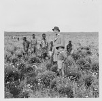 A Jewish refugee farmer inspects the pyrethrum fields where his African farmhands are working.