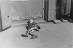 A destitute young boy lies on the pavement in the Warsaw ghetto holding a cup in his hand.