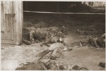 Prisoners' bodies lie piled just inside the entrance to a barn near Gardelegen where over 1,000 were killed by the SS.