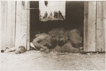 The bodies of concentration camp prisoners killed by the SS in a barn outside of Gardelegen.
