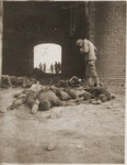 An American soldier photographs the bodies of concentration camp prisoners killed by the SS in a barn outside of Gardelegen.