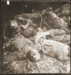 The charred corpses of prisoners burned alive by the SS in a barn outside Gardelegen.