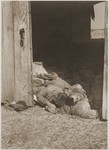 Prisoners' bodies block the door of the barn outside Gardelegen, where they were shot while trying to escape the flaming interior, which had been set alight by the SS.