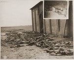 The bodies of concentration camp prisoners killed by the SS lie outside of a barn near Gardelegen where they were placed by German civilian forced by the U.S.