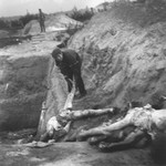 A boy working in the Warsaw ghetto cemetery drags a corpse to the edge of the mass grave where it will be buried.