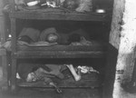 Survivors lie in multi-tiered bunks in the hospital barracks in Buchenwald.