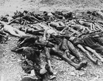 View of corpses lying in a row in Kaufering IV.